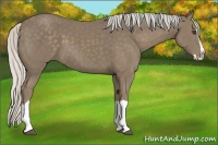 Horse Color:Silver Smoky Black Splash
