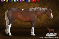 Horse Color:Liver Chestnut Splash Tobiano Rabicano