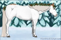 Horse Color:Silver Bay Sabino Splash