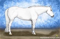 Horse Color:Gray Liver Red Dun