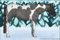 Horse Color:Liver Red Roan Tobiano 