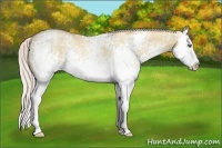 Horse Color:White Spotted Silver Bay Pearl Dun Splash