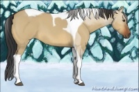 Horse Color:Bay Roan Dun Tobiano