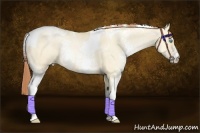 Horse Color:White Spotted Buckskin Pearl Dun Tobiano 