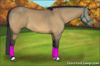 Horse Color:Buckskin Dun 