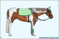 Horse Color:Silver Bay Tobiano 