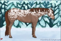 Horse Color:Chestnut Ice 
