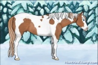 Horse Color:Chestnut Splash Tobiano Rabicano