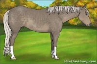 Horse Color:Silver Smoky Black 