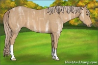 Horse Color:Palomino Ice 