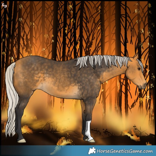 Horse Color:Silver Buckskin 