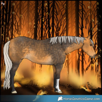 Horse Color:Silver Buckskin 