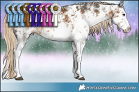 Horse Color:White Spotted Chocolate Palomino Sabino Splash Rabicano