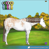 Horse Color:White Spotted Amber Champagne 