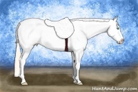 Horse Color:Perlino Tobiano Appaloosa 