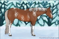 Horse Color:White Spotted Silver Bay Tobiano 