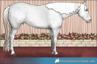 Horse Color:Liver Red Dun Pearl Sabino 