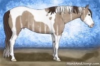 Horse Color:Classic Champagne Ice Splash Tobiano 