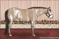 Horse Color:White Spotted Classic Champagne Ice Sabino Splash Frame