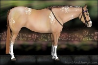Horse Color:White Spotted Brown Pearl Splash 