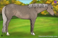 Horse Color:Silver Smoky Black 