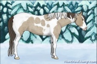 Horse Color:Classic Cream Champagne Roan Splash Tobiano