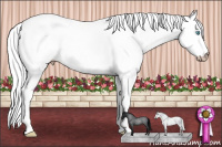 Horse Color:Gray Smoky Creme Roan 