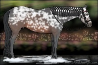 Horse Color:Brown Ice 