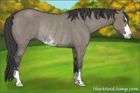 Horse Color:Smoky Grullo Sabino Rabicano