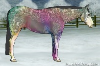Horse Color:Black Ice Sabino 