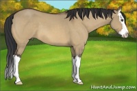 Horse Color:Bay Roan Dun Splash