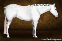 Horse Color:White Spotted Grullo Tobiano Appaloosa 