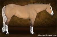 Horse Color:Silver Bay Dun Splash 