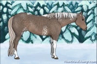 Horse Color:White Spotted Silver Black Tobiano Rabicano