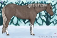 Horse Color:Silver Blue Roan Tobiano