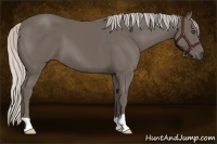 Horse Color:Silver Black 