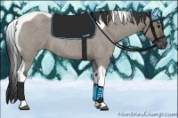 Horse Color:Smoky Grullo Roan Tobiano 