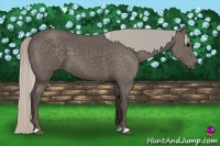 Horse Color:Silver Black 