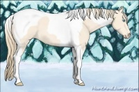 Horse Color:Perlino Tobiano
