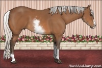 Horse Color:White Spotted Silver Bay Splash 