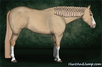 Horse Color:Red Dun Roan Splash Frame Rabicano 
