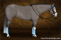 Horse Color:Grullo Sabino Splash 