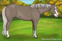 Horse Color:Silver Smoky Blue Roan Splash 