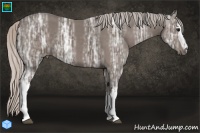 Horse Color:White Spotted Silver Black Ice