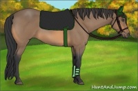 Horse Color:Buckskin Roan 