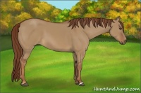 Horse Color:Red Dun