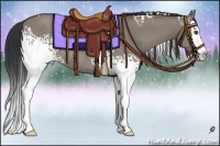 Horse Color:White Spotted Grullo Splash Rabicano