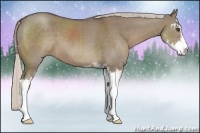 Horse Color:Silver Grullo Sabino 