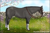 Horse Color:Black Sabino Splash