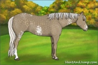 Horse Color:White Spotted Silver Smoky Black 